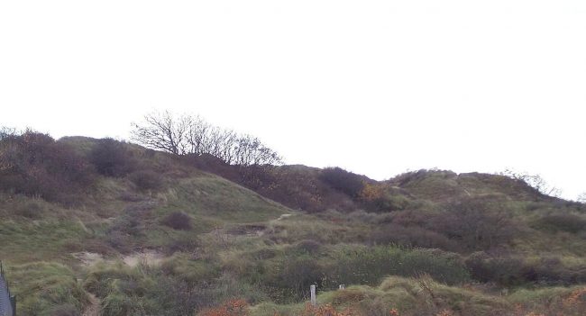 Duinen bij Katwijk