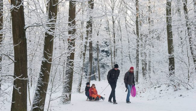 Familie met kinderen op slee in besneeuwd bos